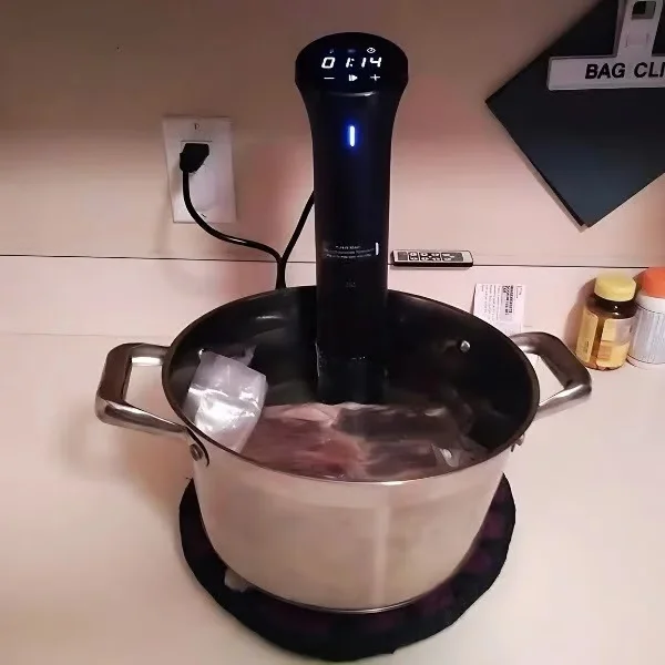 Best Sous Vide Machines