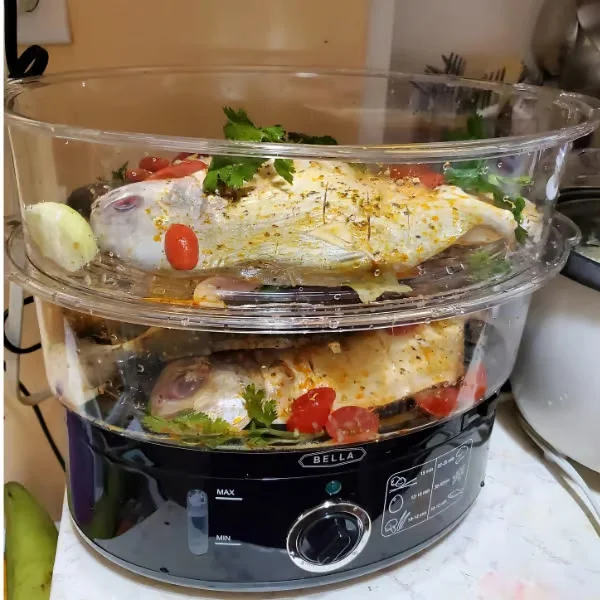 Best Two-Tier Food Steamer