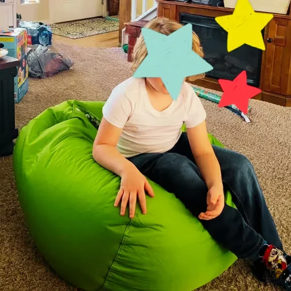 Best Bean Bag Chair
