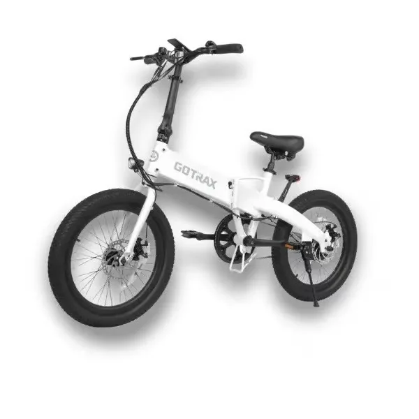 Folding Electric Bike