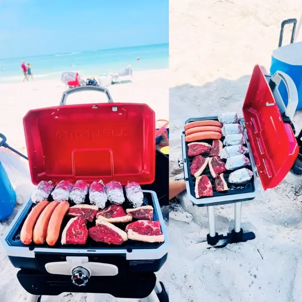 Best Portable Gas Grill